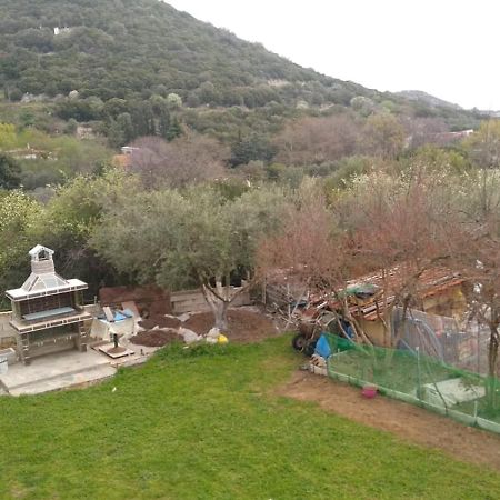 Martha'S Villa Nea Iraklitsa 外观 照片