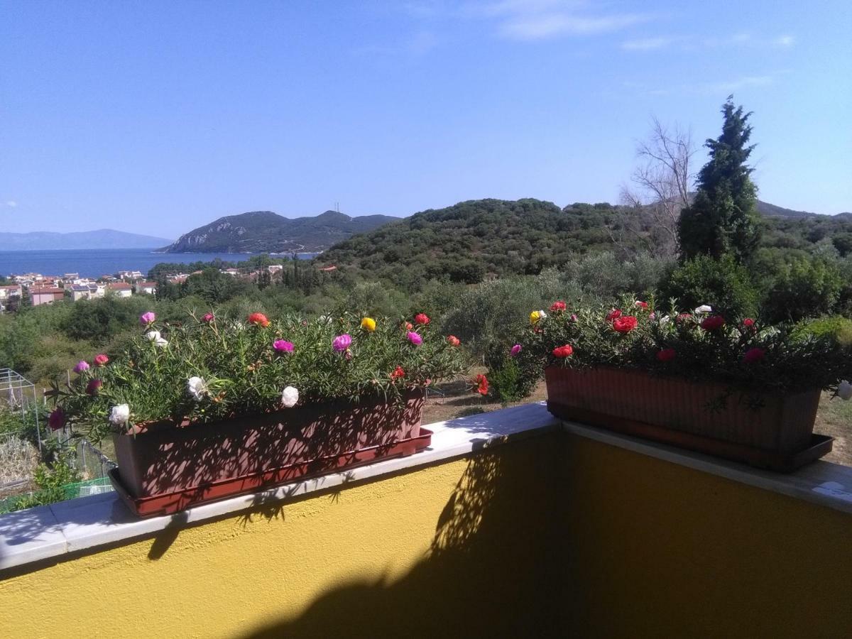 Martha'S Villa Nea Iraklitsa 外观 照片