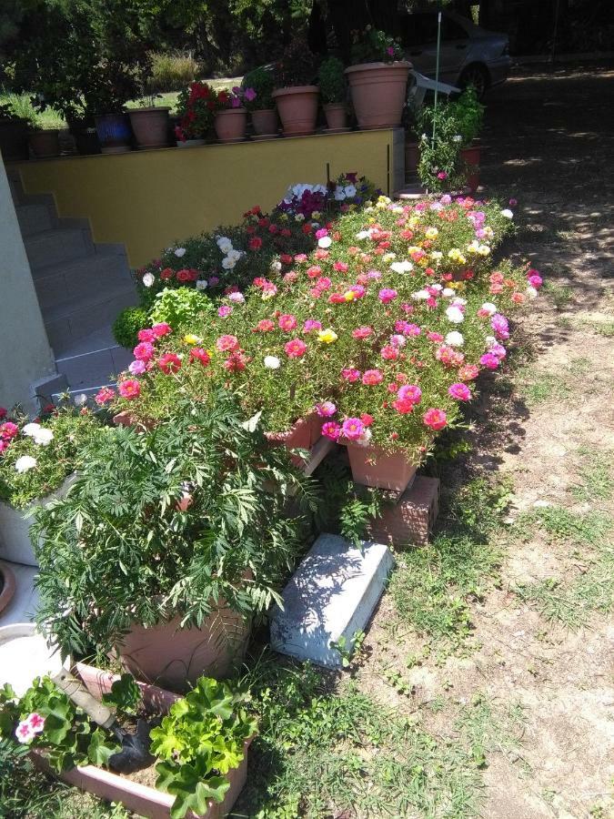 Martha'S Villa Nea Iraklitsa 外观 照片
