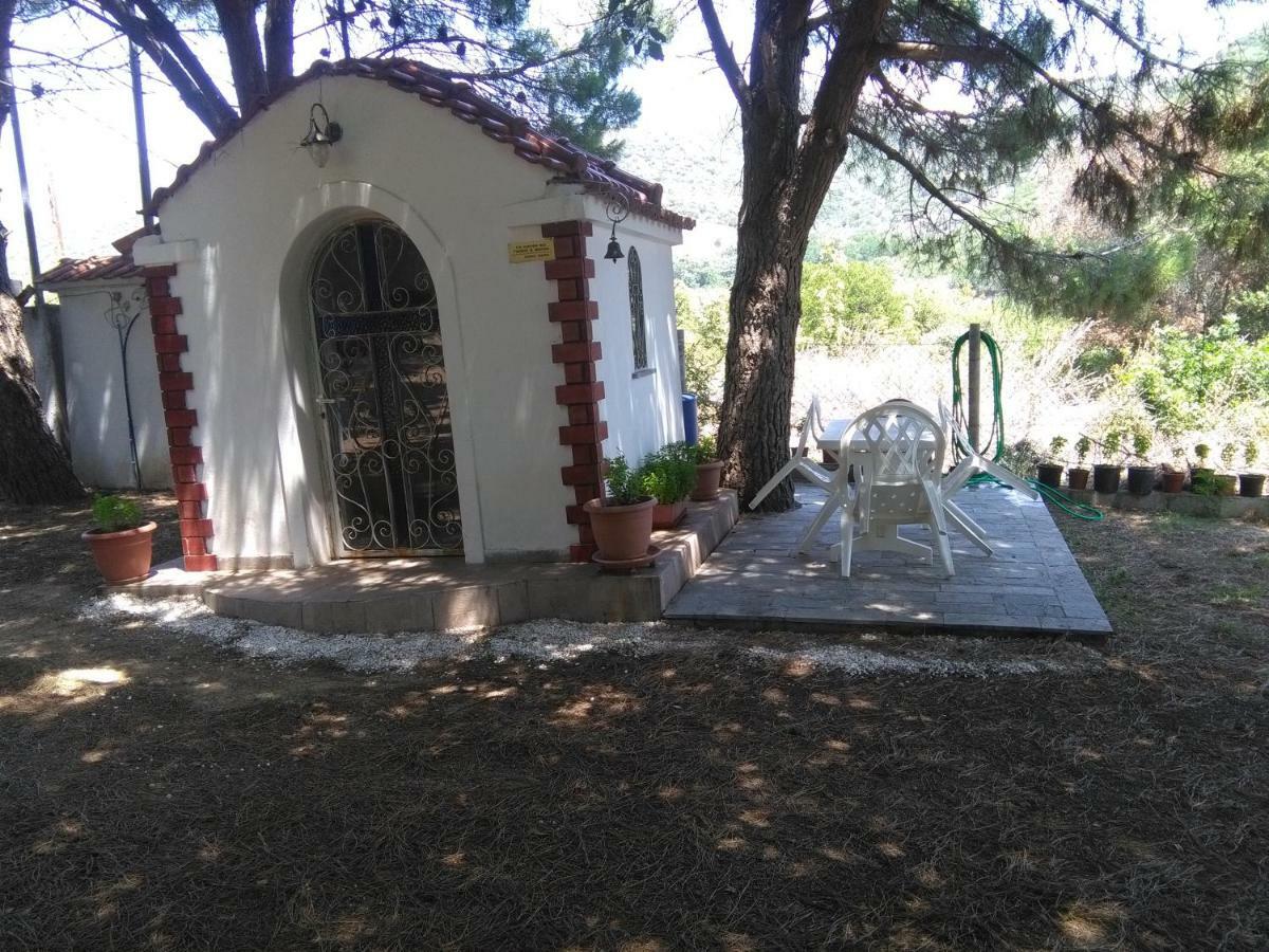 Martha'S Villa Nea Iraklitsa 外观 照片